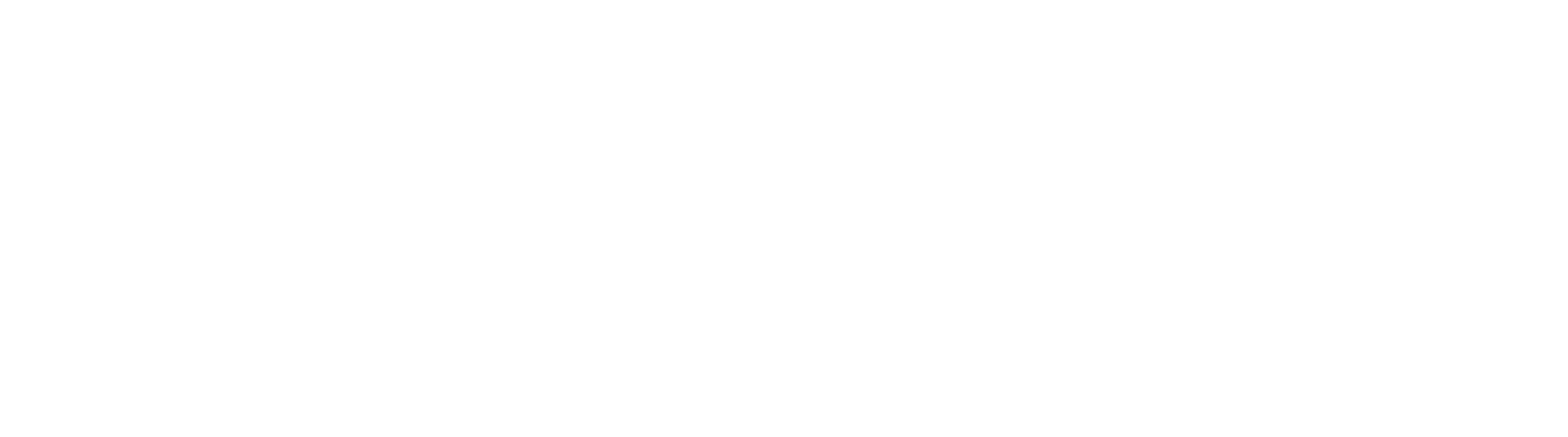Léo Buso